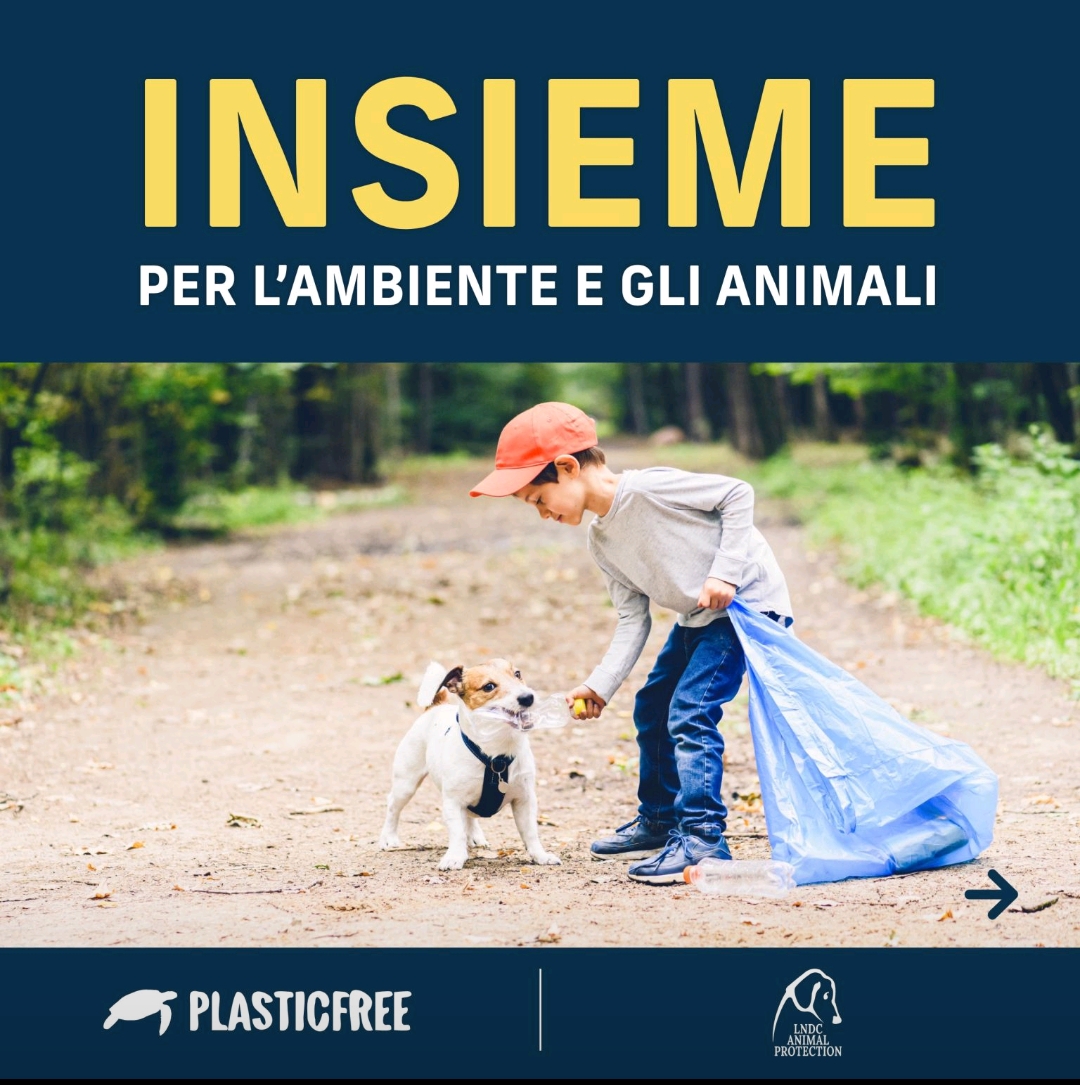 INSIEME per l'ambiente e gli animali!